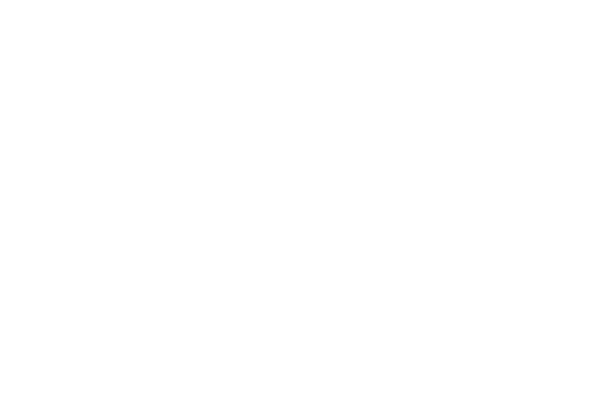 Logotipo do CRPIR em branco